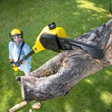 Best Stump Grinding and Removal  in Palmyra, MO